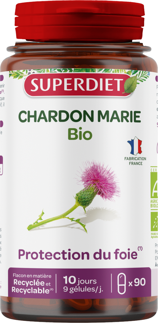 Chardon marie bio - 1